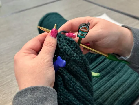 image of a knitter's hands and knitting