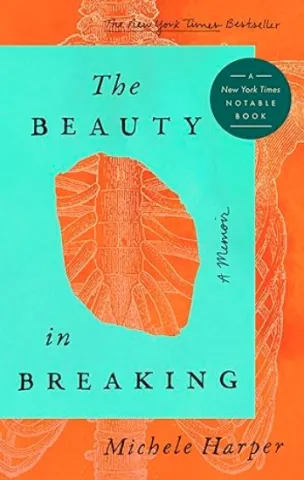 Image of the book cover of The Beauty in Breaking