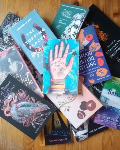 Book covers of the books the Roma Words, Roma Worlds group has read in the past