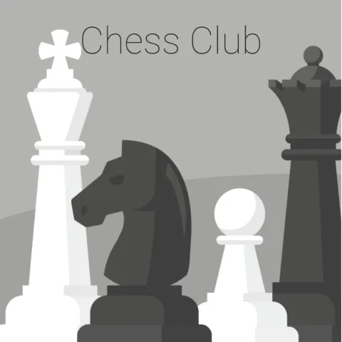 black and white chess pieces