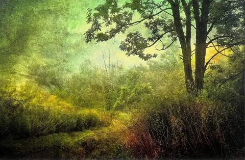 Nancy Ori's Morning Walk. An image of a woodland with trees, shrubs and grasses.