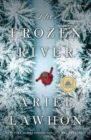 Book Cover for Frozen River
